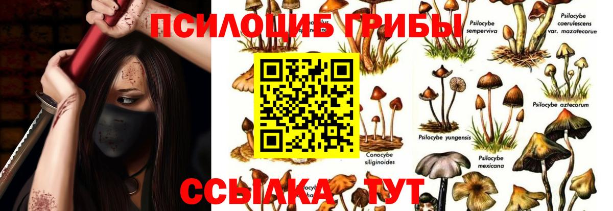 Гудермес  даркнет сайт  Вход с VPN  Галлюциногенные грибы Magic Shrooms 