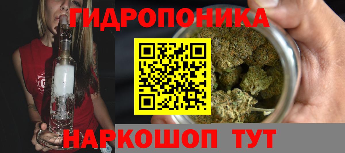 Конопля планчик Гудермес